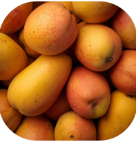 Aaditya Organics contact