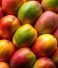 Health Benefits of Mangoes: Nature’s Sweet Superfruit