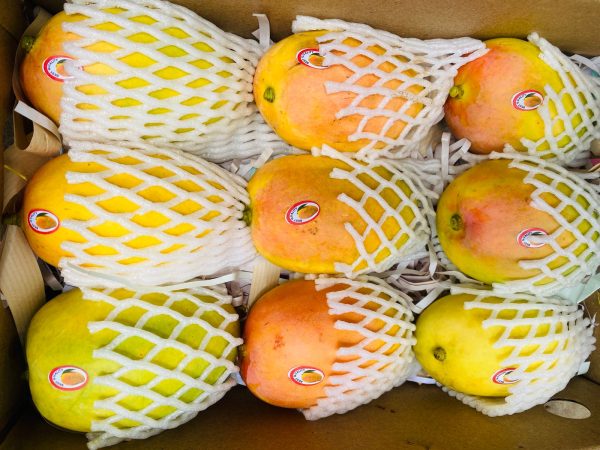 5 KG Mango Box - Image 2